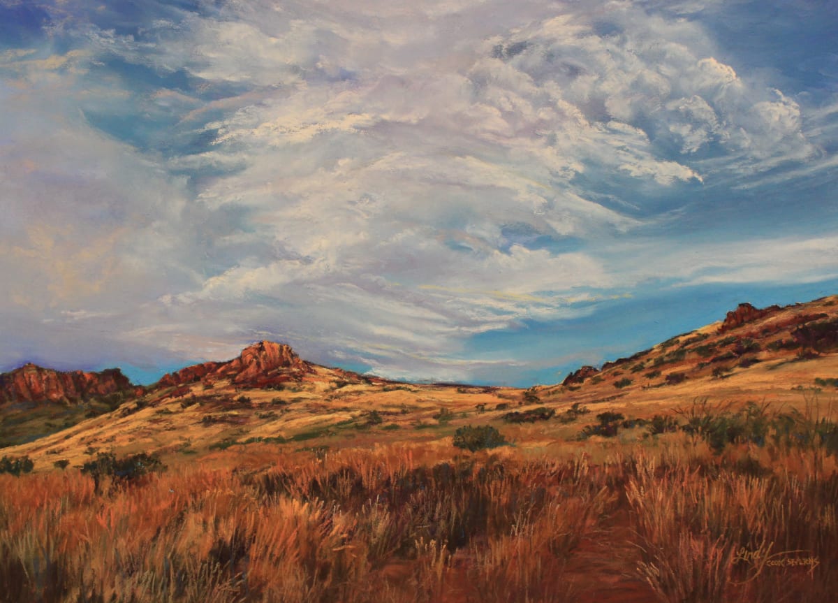 A Sky As Big As Texas by Lindy Cook Severns, Image 1.