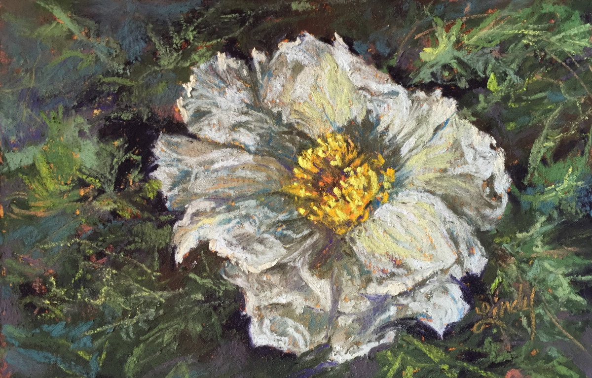 Lace in Thorns by Lindy Cook Severns, Image 1.