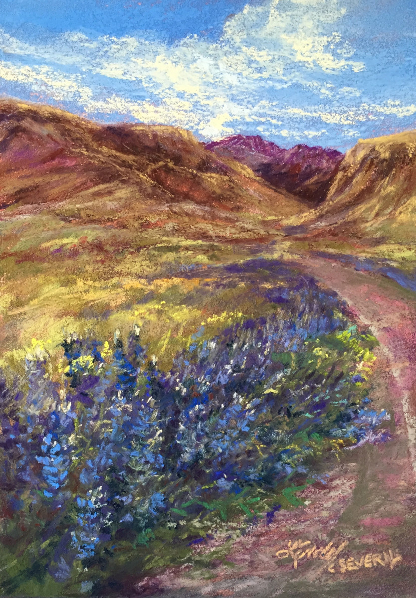 Blue Texas Highway by Lindy Cook Severns 