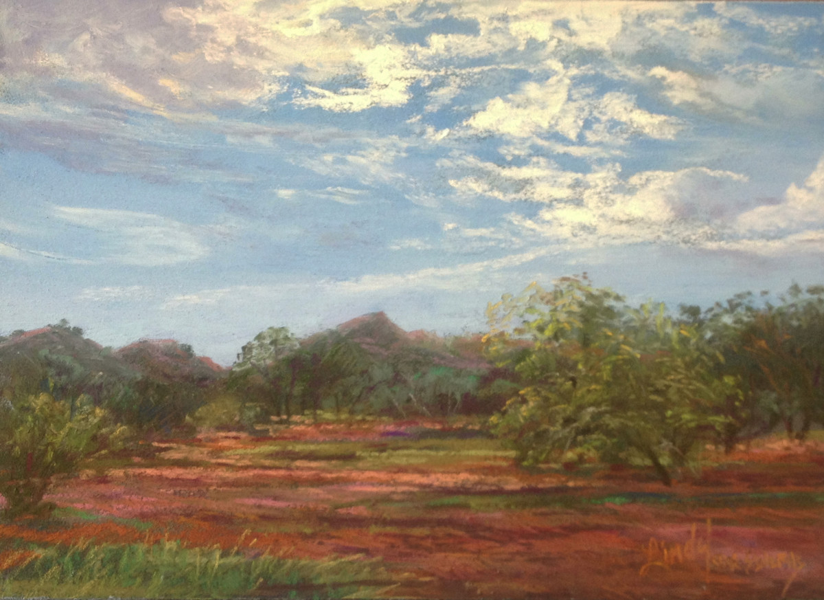 Davis Mountains Summer by Lindy Cook Severns 