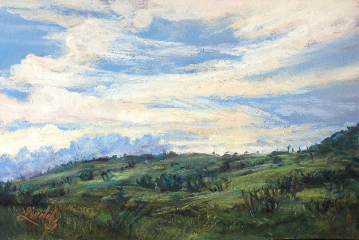 Tall Texas Grasslands by Lindy Cook Severns, Image 1.