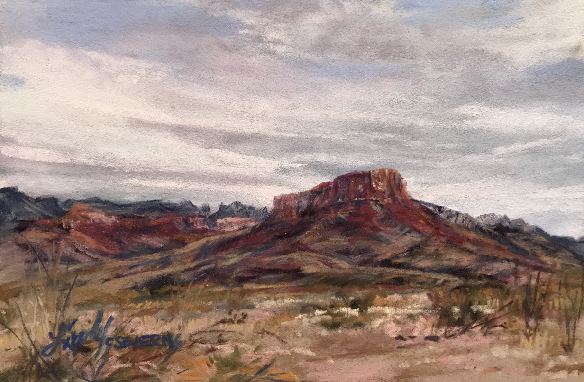 Burro Mesa Sky by Lindy Cook Severns 