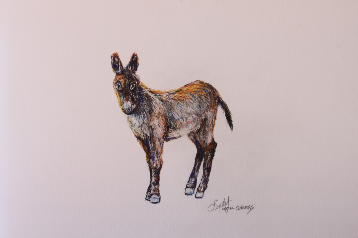 Sunny Burro by Lindy Cook Severns, Image 1.