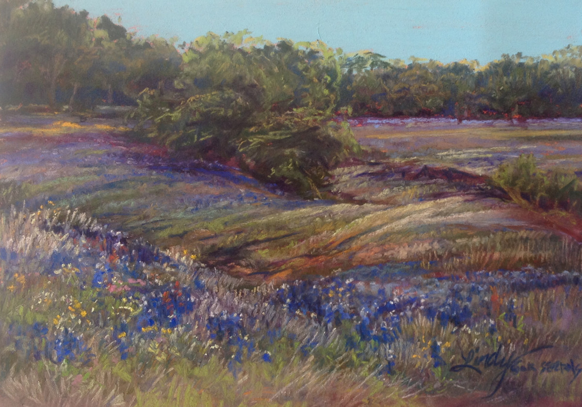 Texas Carpeted in Springtime by Lindy Cook Severns 