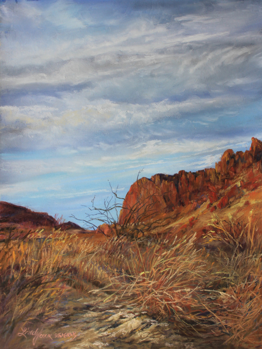 Sunwashed Arroyo by Lindy Cook Severns, Image 1.