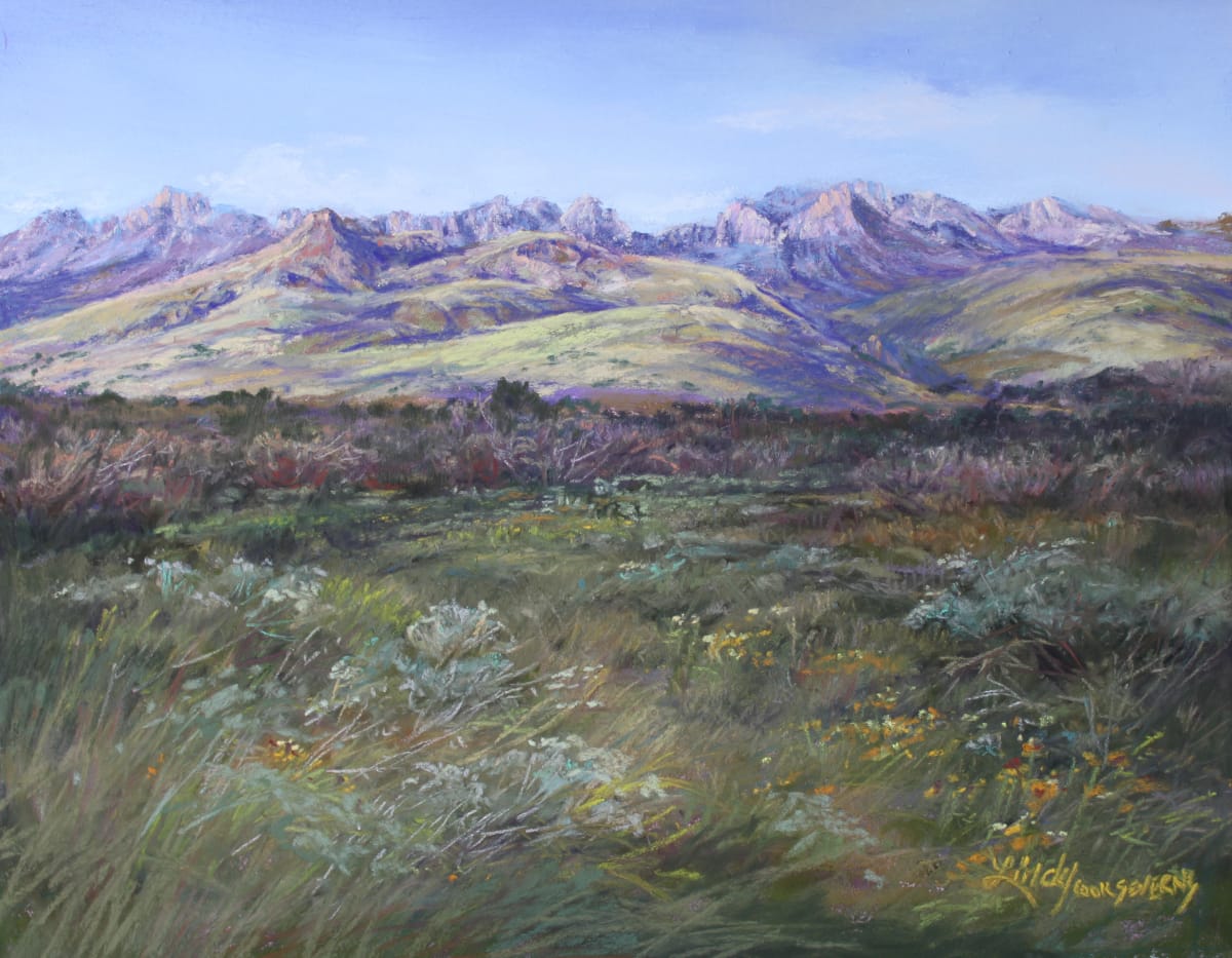 In the Softness of a Davis Mountain Summer by Lindy Cook Severns, Image 1.