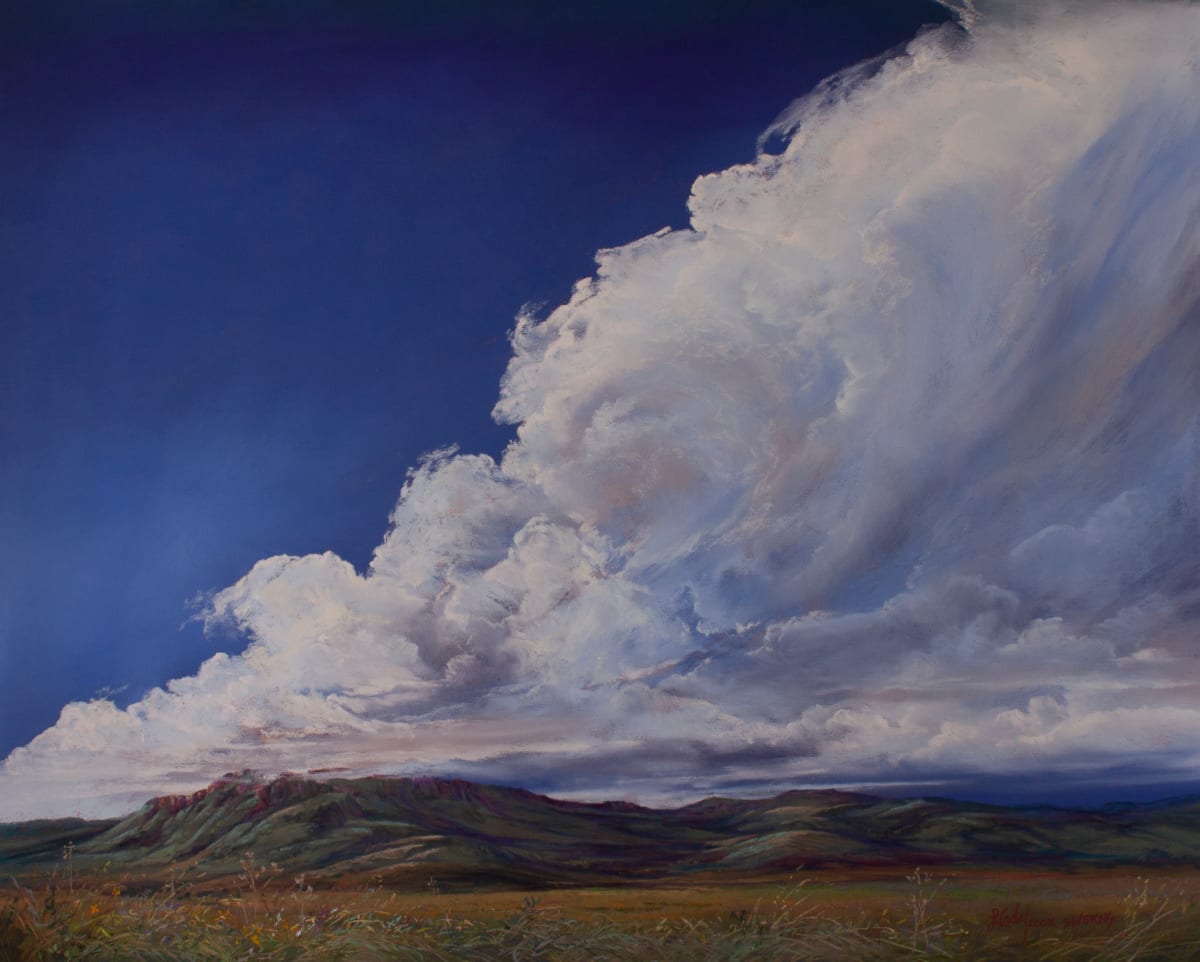 Untamed Texas Sky by Lindy Cook Severns, Image 1.