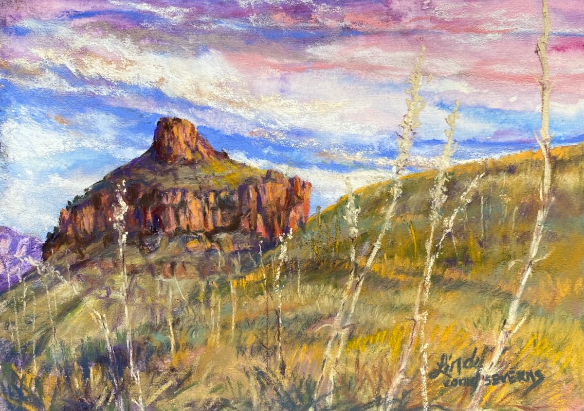 Carousel and Sotol by Lindy Cook Severns 