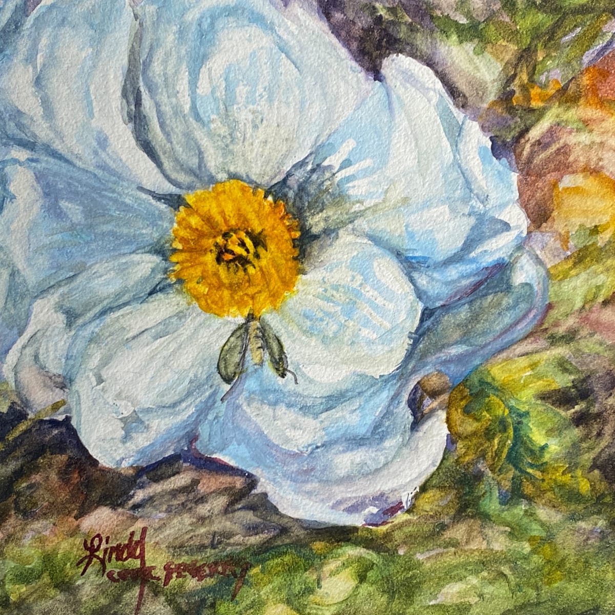 On Wings of Love  Image: Bee on prickly poppy blossom