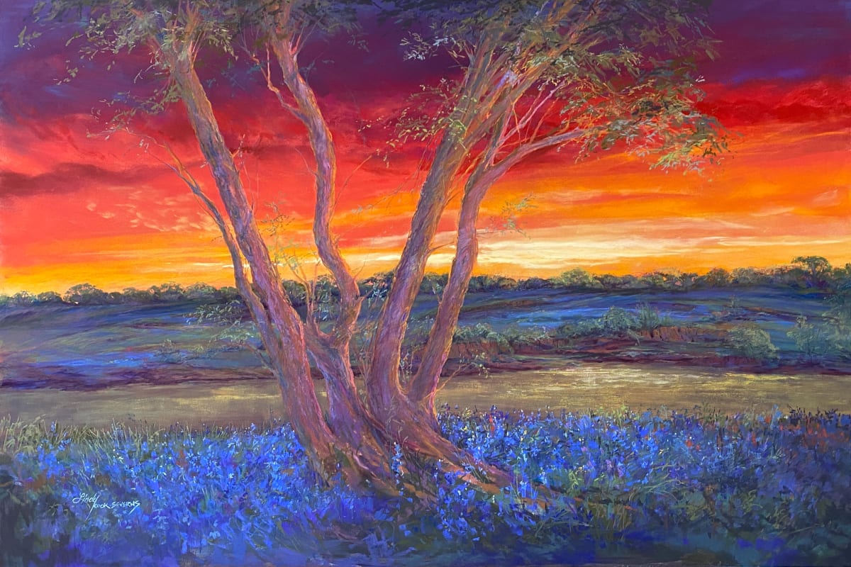 Good Night, Texas by Lindy Cook Severns 