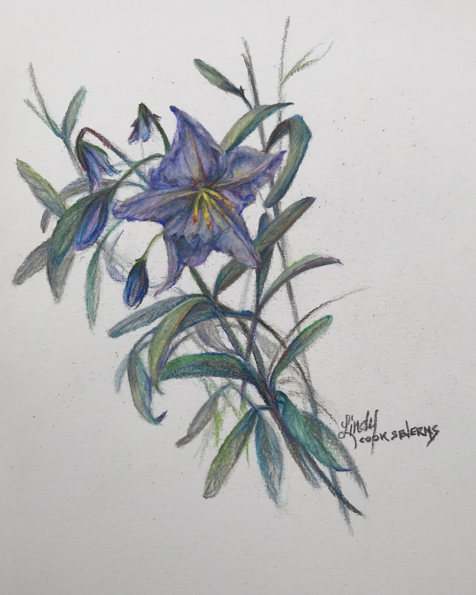 Shades of Lilac by Lindy Cook Severns, Image 2.