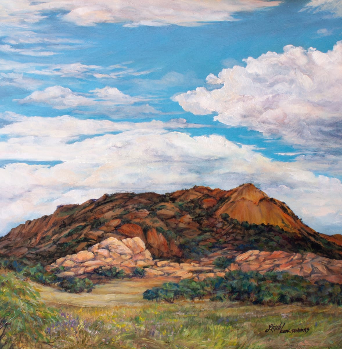 Sky Lights the Overland Trail by Lindy Cook Severns 