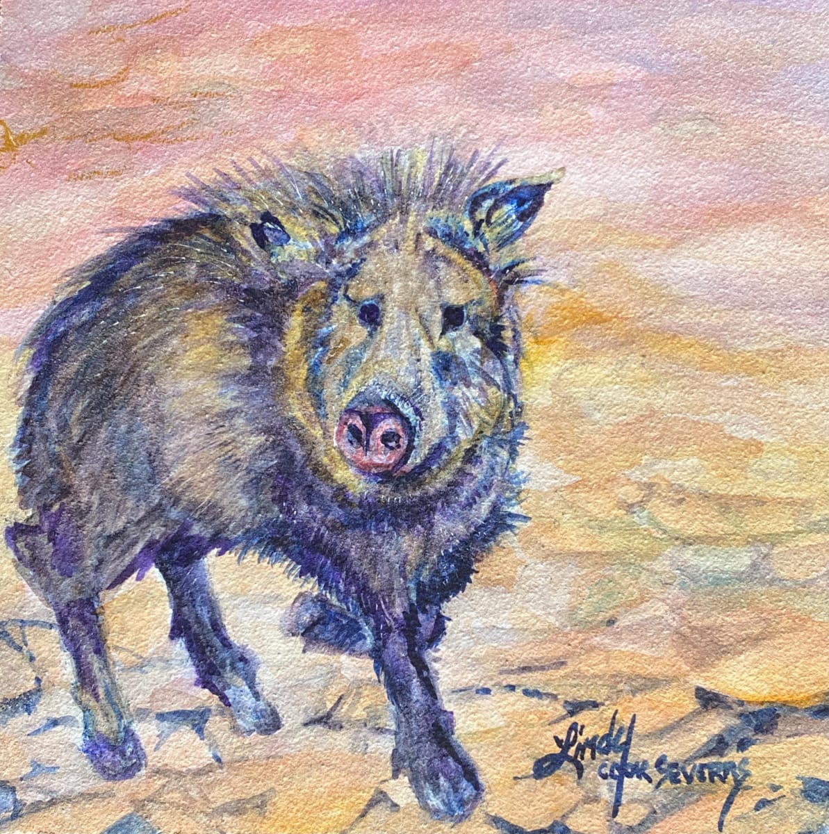 Javelina Howdy by Lindy Cook Severns 