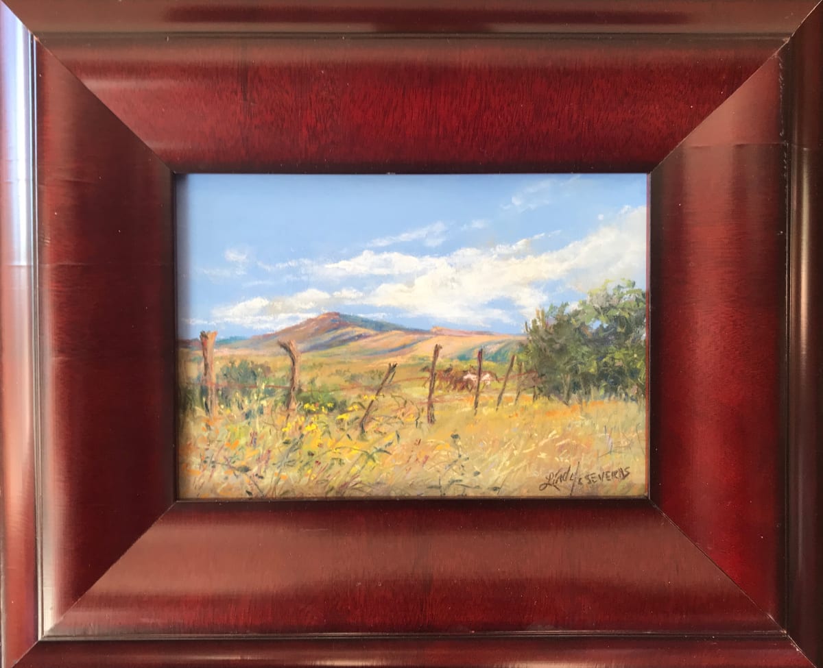 One White Horse by Lindy Cook Severns 