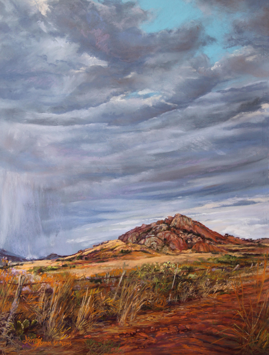 A Welcome Drenching by Lindy Cook Severns 