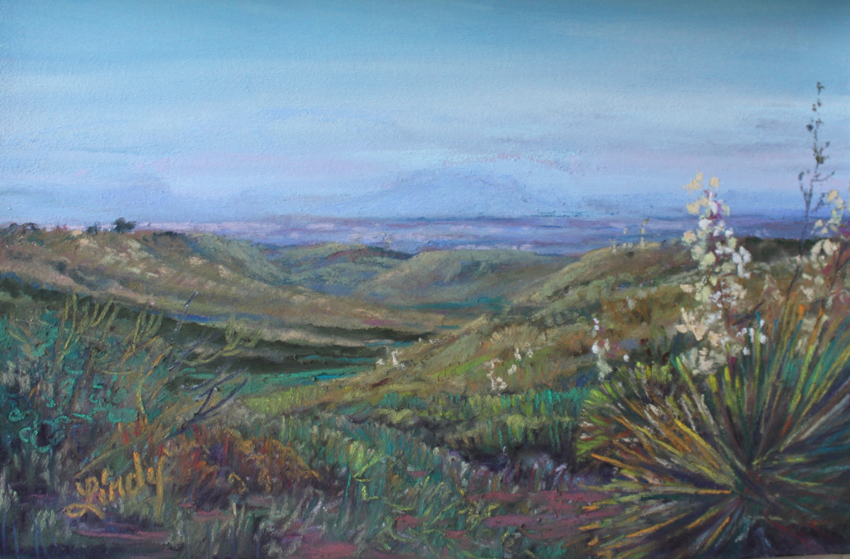 Chinati From the Marfa Highlands by Lindy Cook Severns 