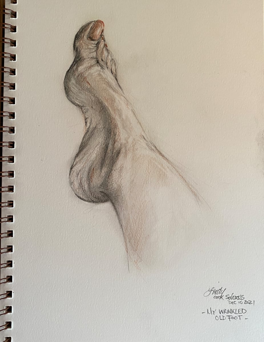 My Wrinkled Old Foot by Lindy Cook Severns 
