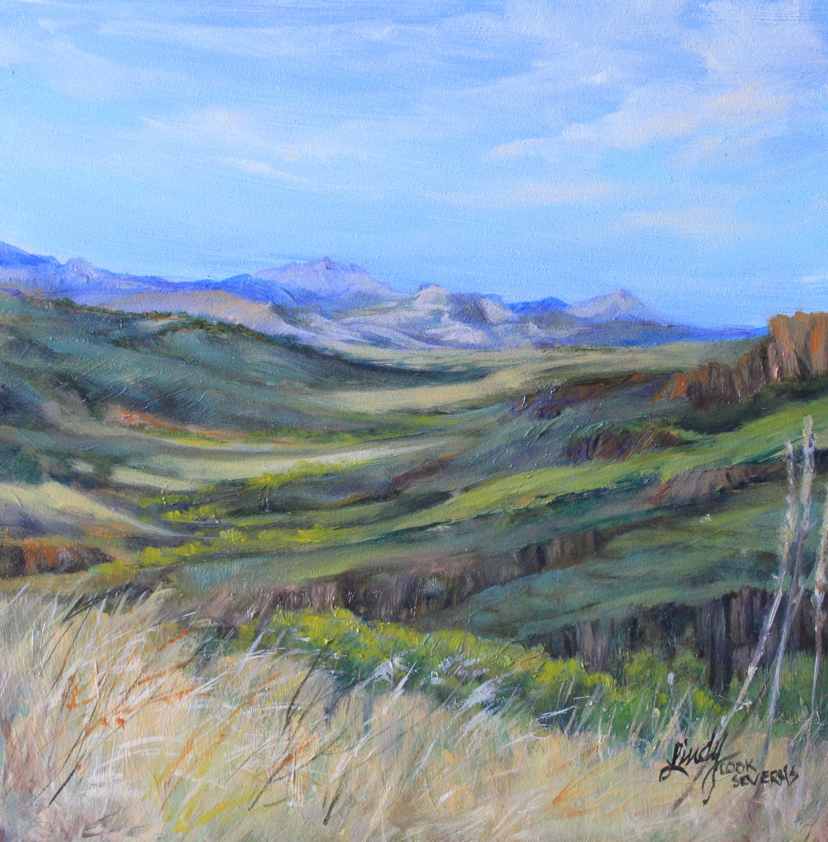 Deep in the Davis Mountains by Lindy Cook Severns 