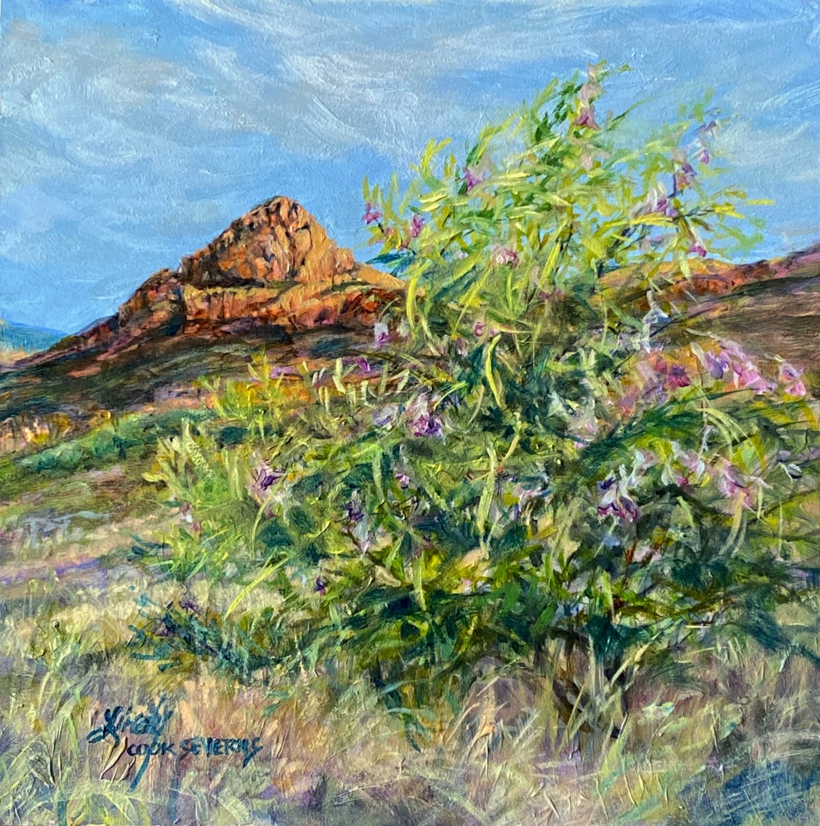 Desert Willow Dawn, Image 6.