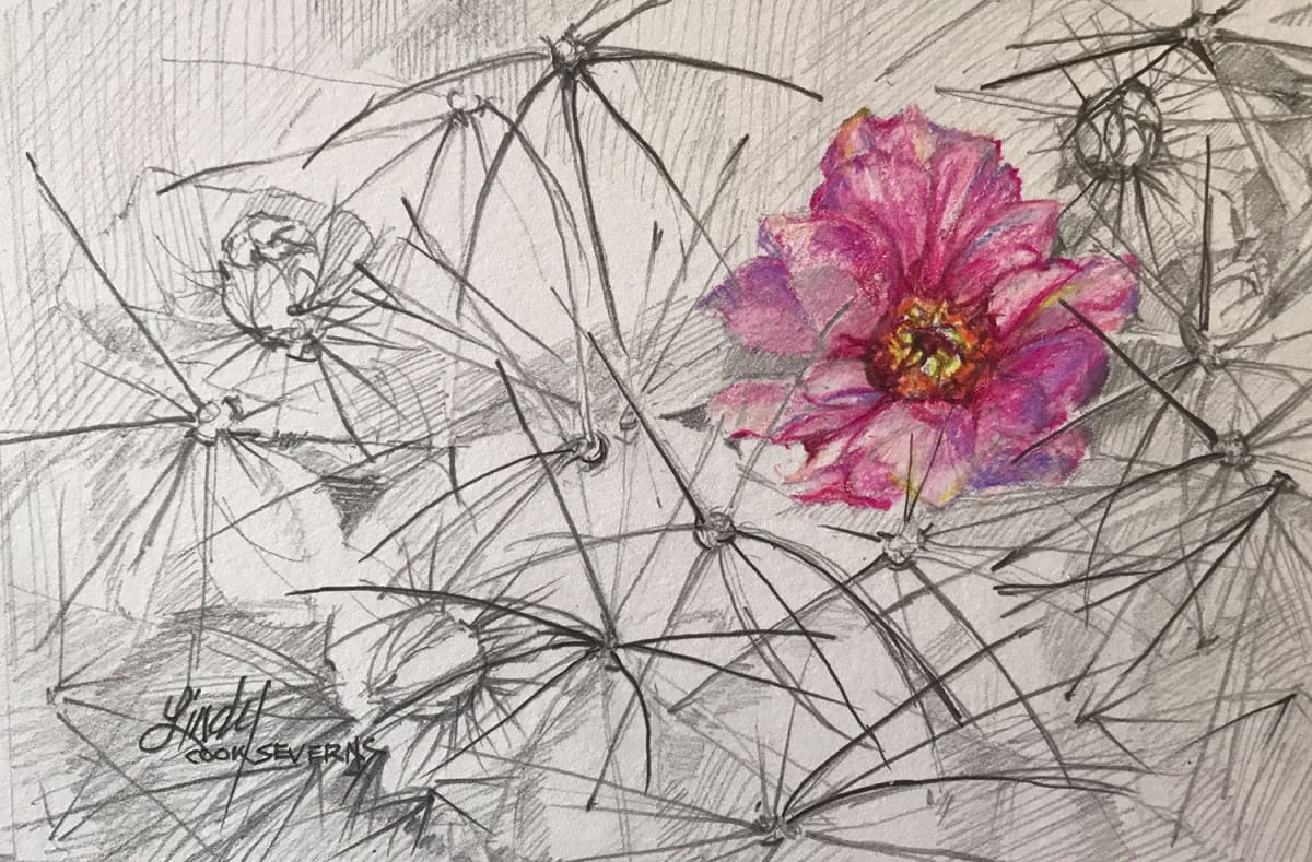 Despite the Thorns, Image 2.