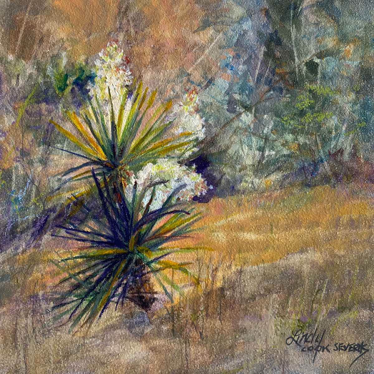 Flowering on the Forest's Edge. Davis Mountains Yucca by Lindy Cook Severns, Image 1.