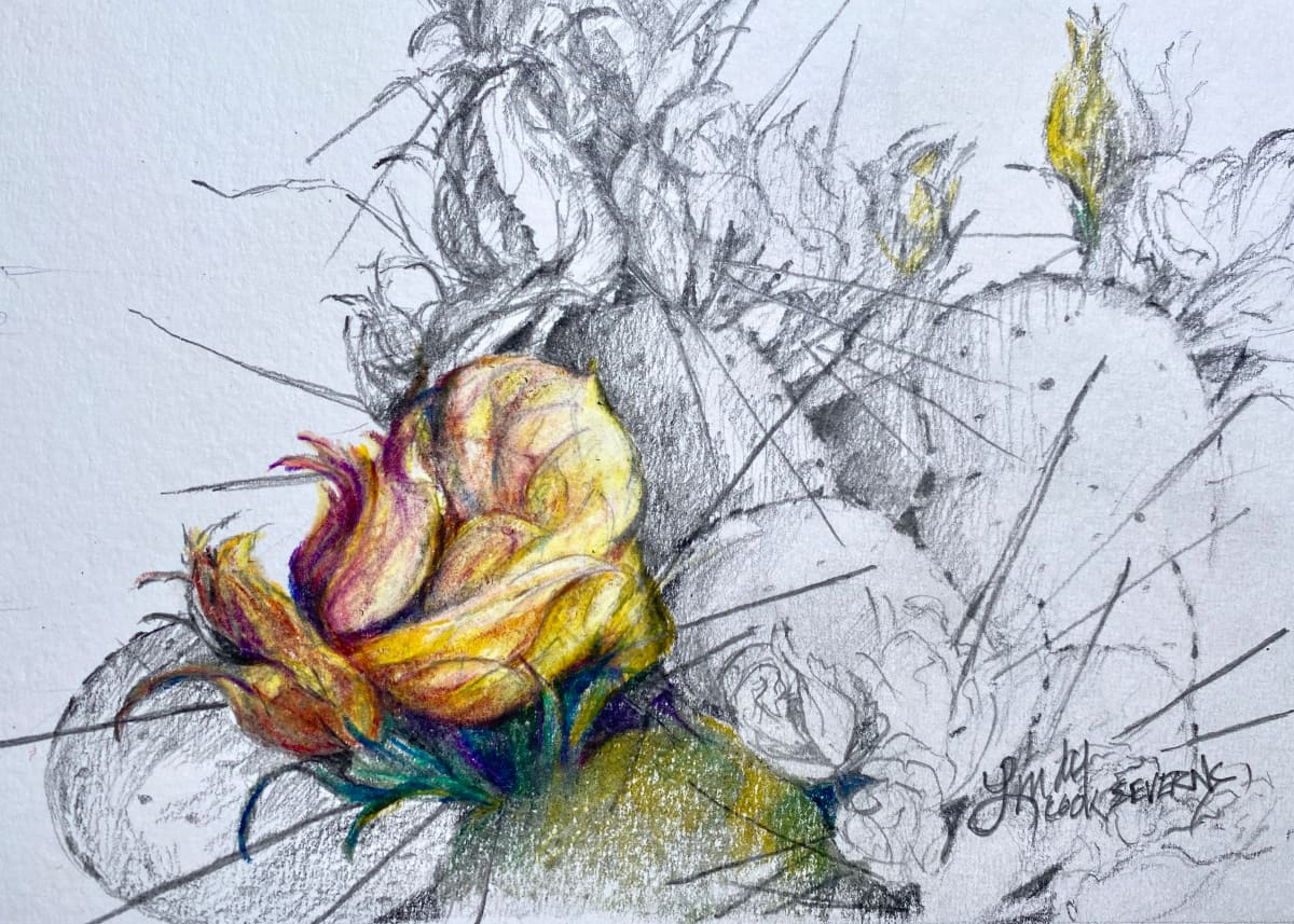 A Bright Spot by Lindy Cook Severns 