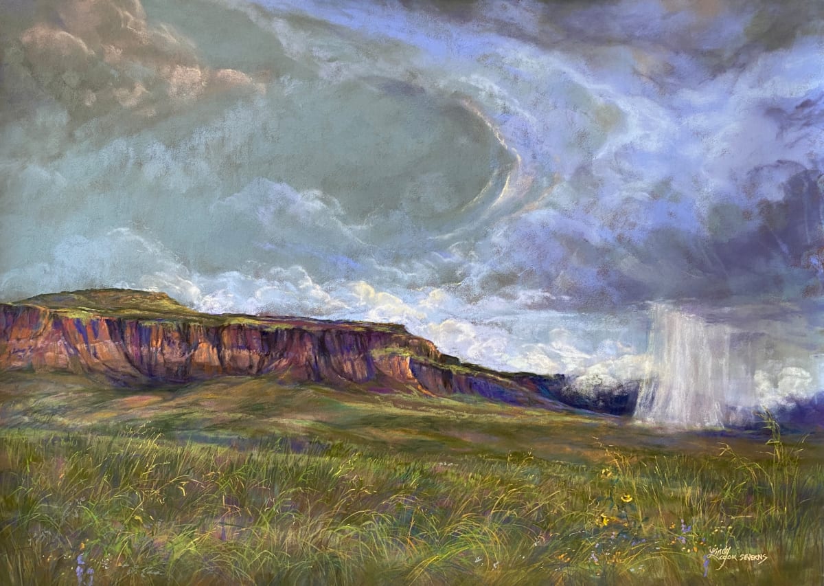 Falling Sky by Lindy Cook Severns 