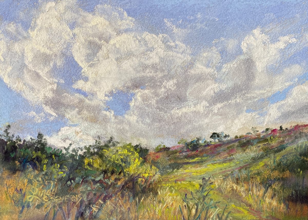 Thunder Over the Hill by Lindy Cook Severns 