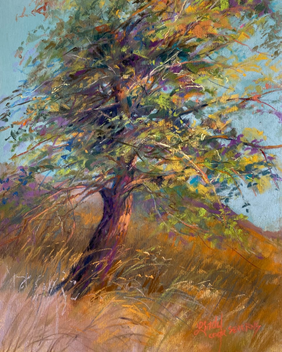 Dancing With the Wind by Lindy Cook Severns 