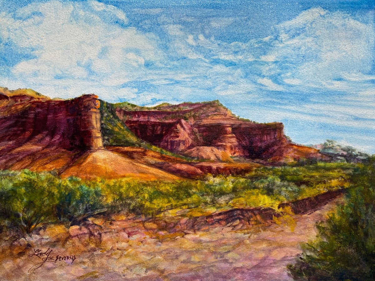 Sunkissed Canyons by Lindy Cook Severns 