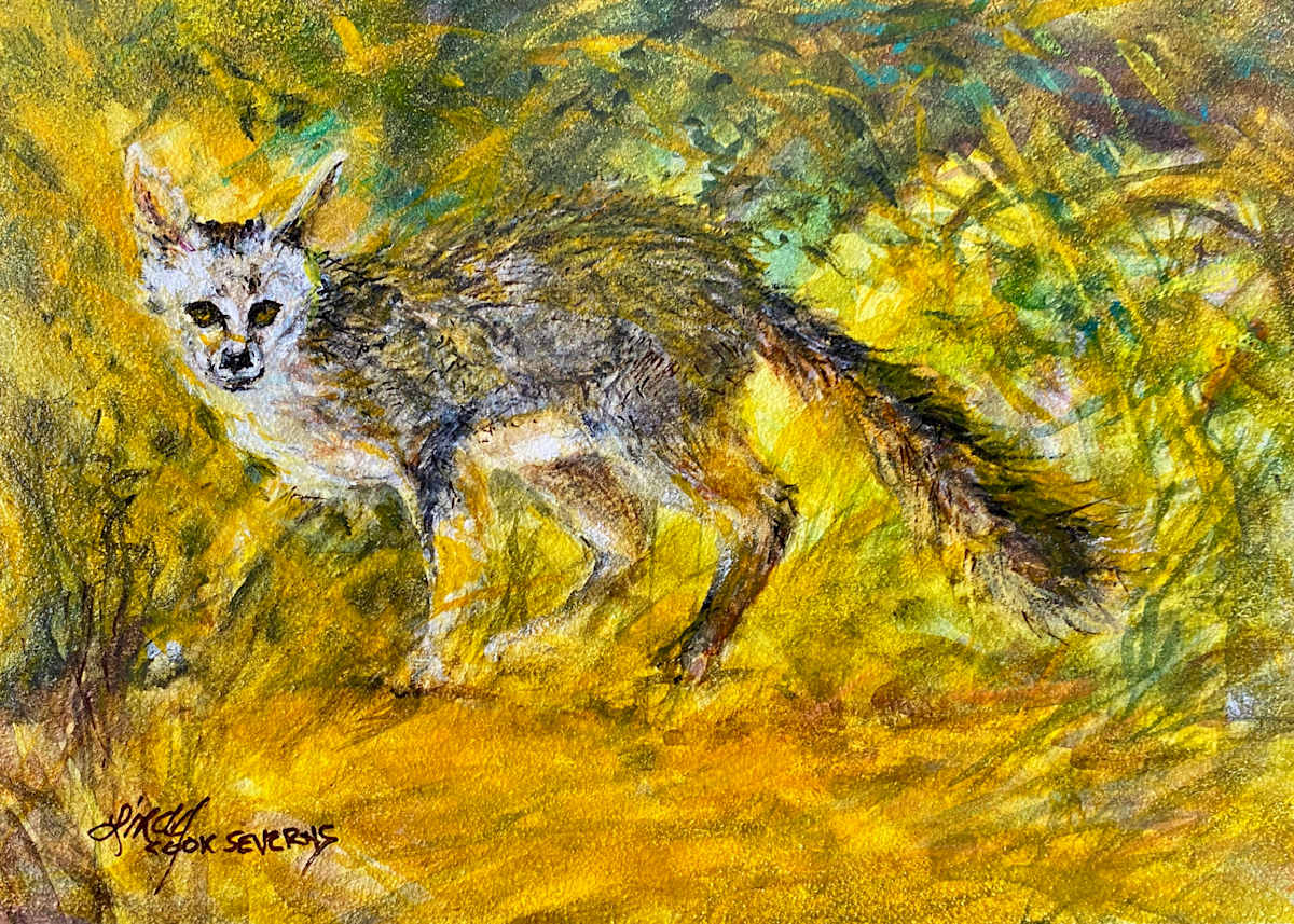 Stepping in Sunbeams by Lindy Cook Severns, Image 1.