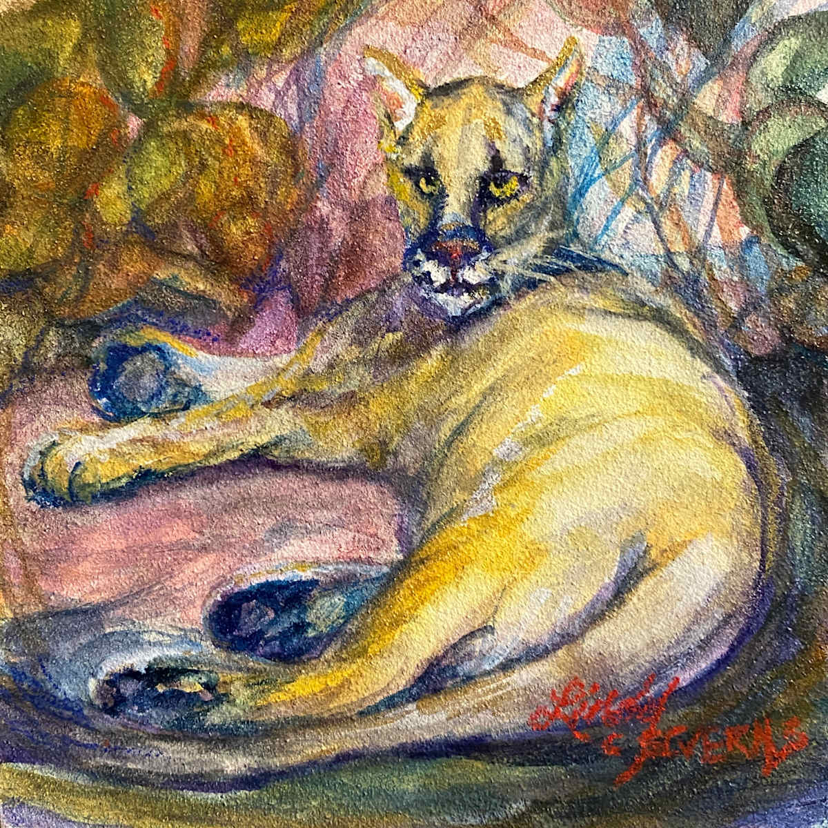 Mr. Kitty by Lindy Cook Severns, Image 1.
