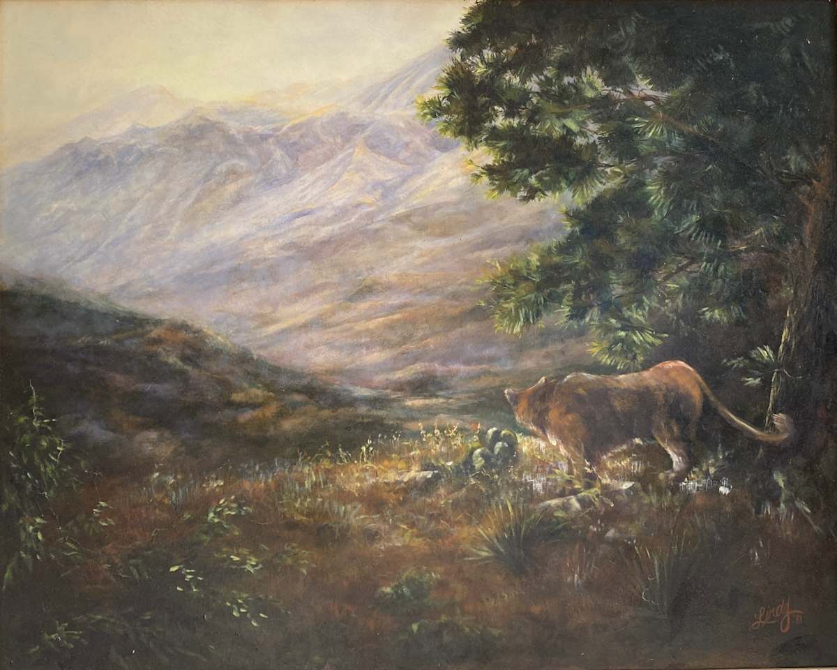 Surveying the Kingdom by Lindy Cook Severns 