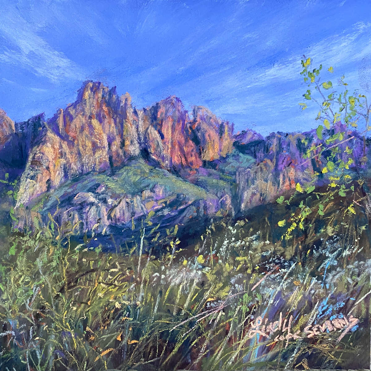 Chisos Summer Glow by Lindy Cook Severns, Image 1.