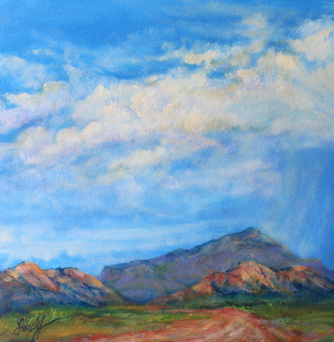 Into the Rain by Lindy Cook Severns 