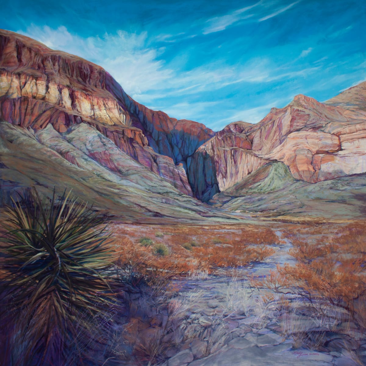 Shadow Canyon by Lindy Cook Severns 