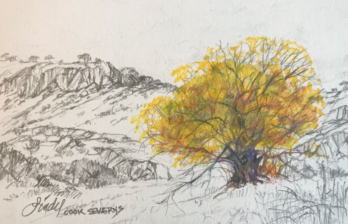 Socially Isolated Cottonwood, Image 2.