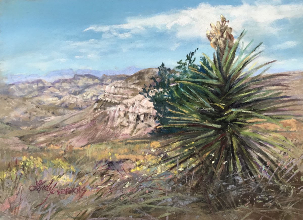 Desert Canyon Color by Lindy Cook Severns 