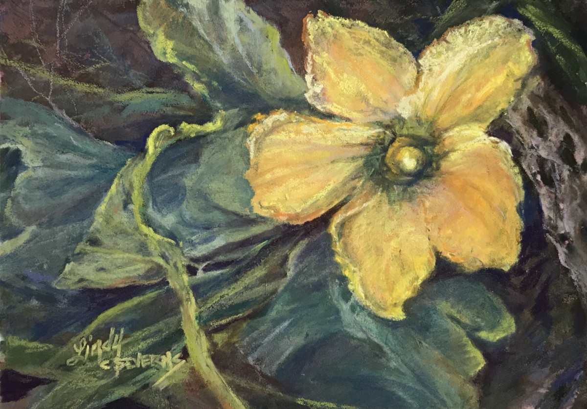 Sunbaked Desert Gift by Lindy Cook Severns 