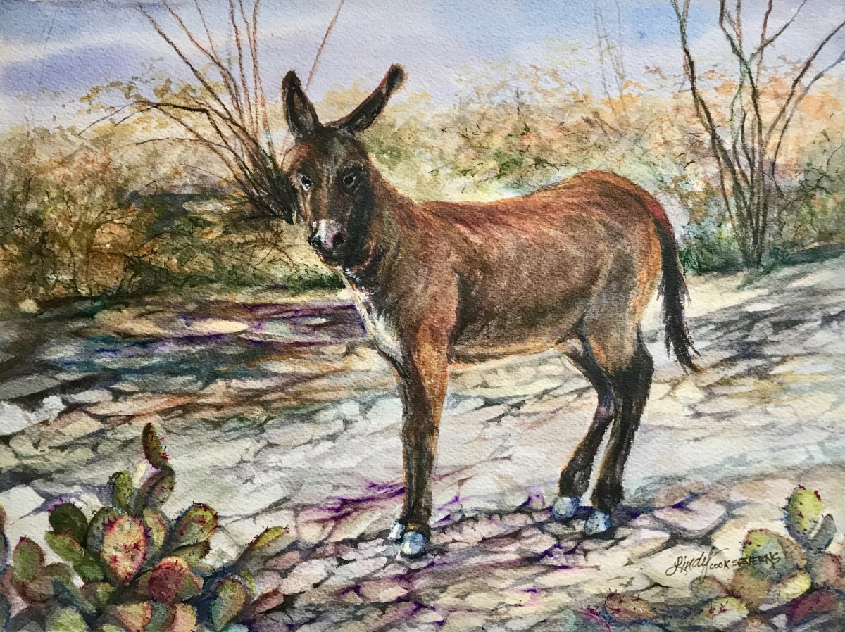 Rio Burro by Lindy Cook Severns 