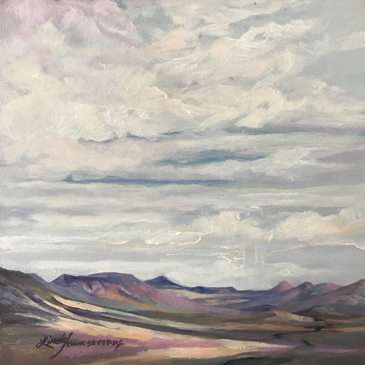 The Unmarked Road Through the Desert by Lindy Cook Severns 