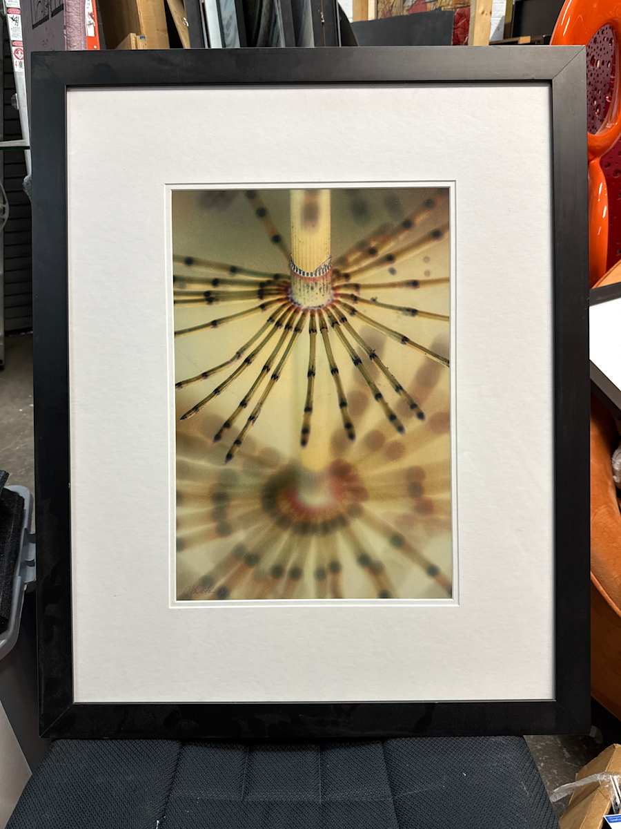 Untitled optics by Christopher Martin 