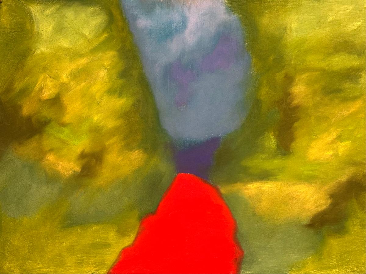 Human Remains OR A Human Life by Daniel Tucker, Image 7.