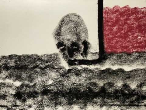 Snorkeling in the Pool of the Gods by Daniel Tucker, Image 12.