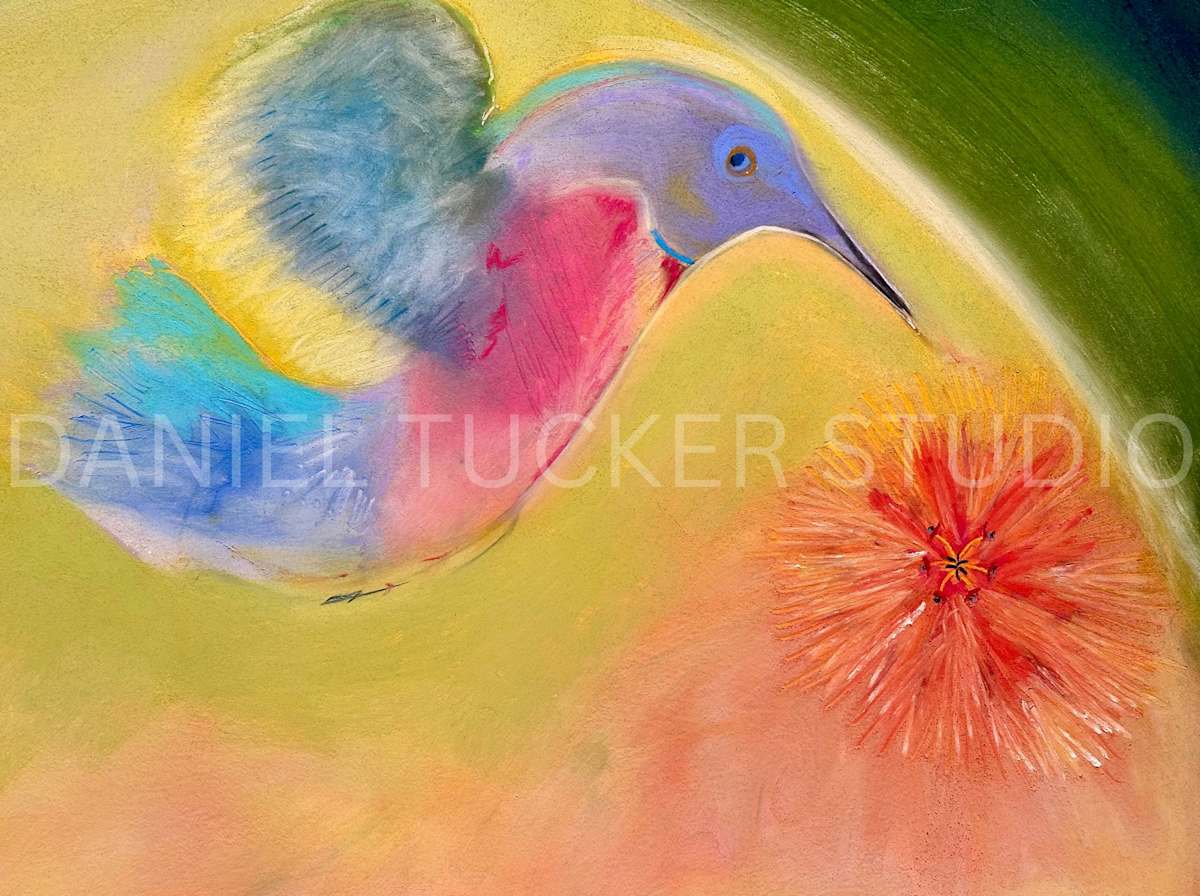 Nectar OR Seeker by Daniel Tucker, Image 1.