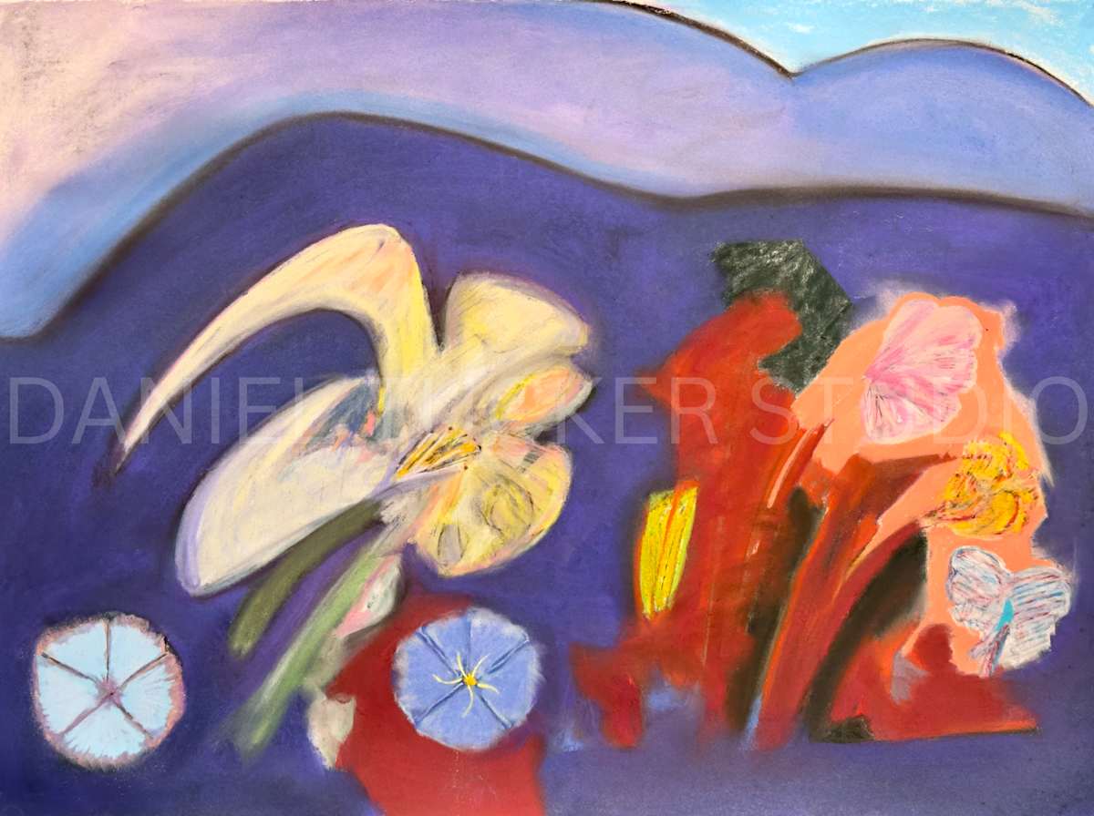 Morning Glory by Daniel Tucker, Image 1.