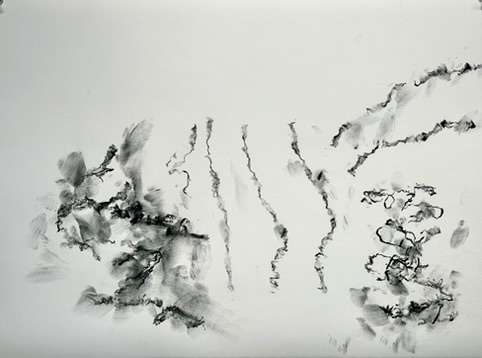 View of White Mountain from the Hermitage by Daniel Tucker, Image 14.