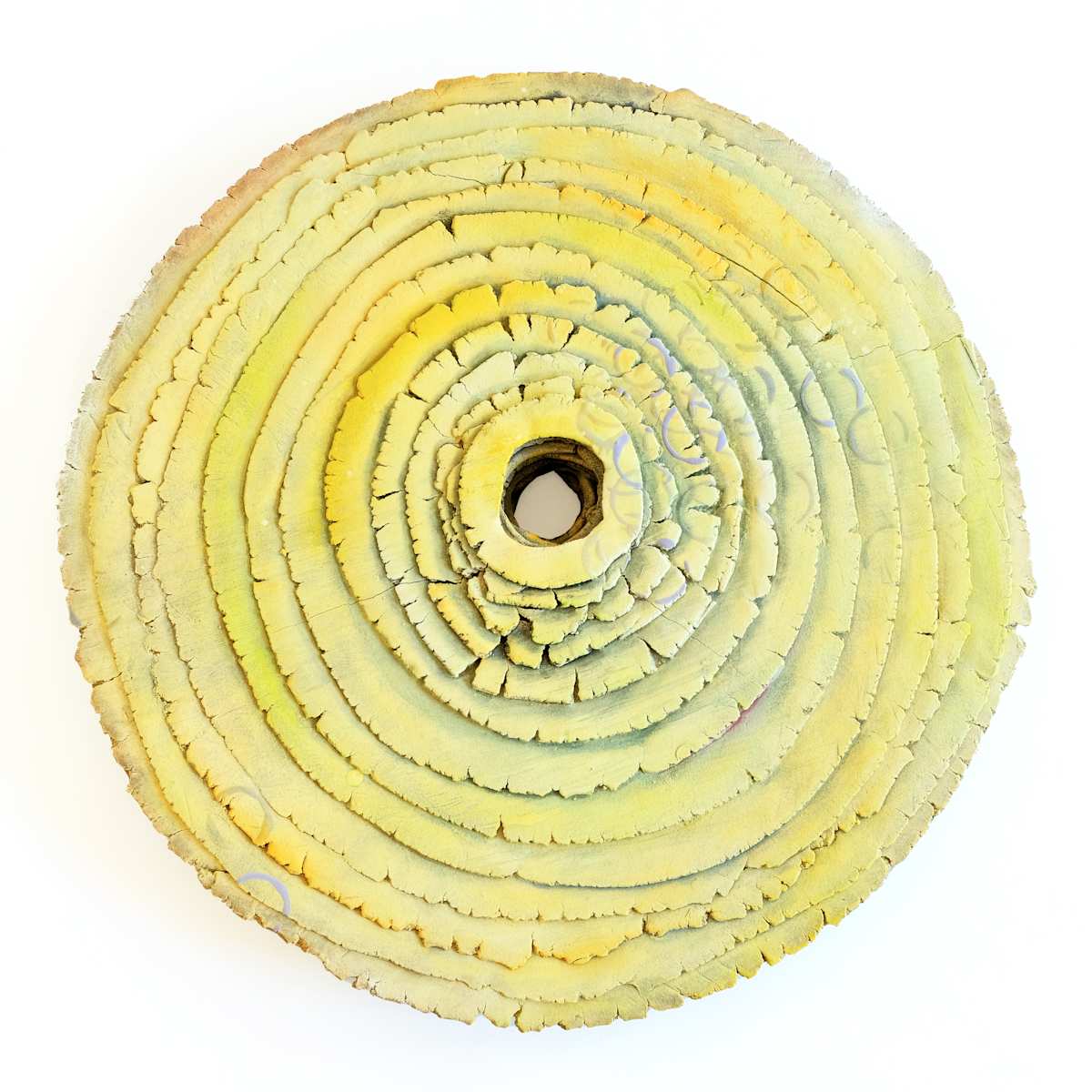 Magnificent Mustard by Emil Yanos 