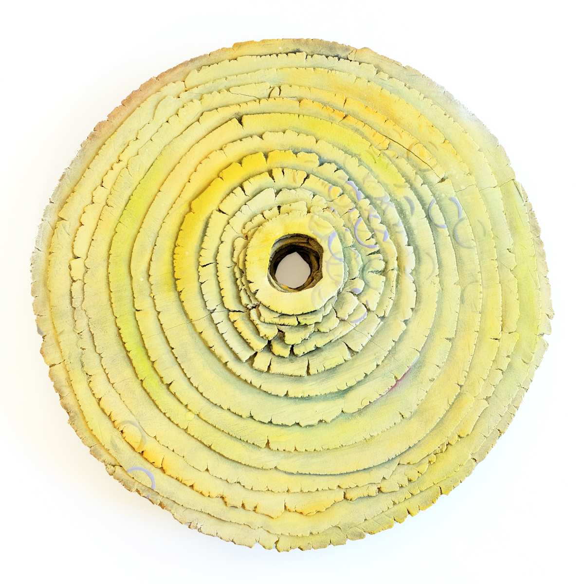 Magnificent Mustard by Emil Yanos, Image 2.