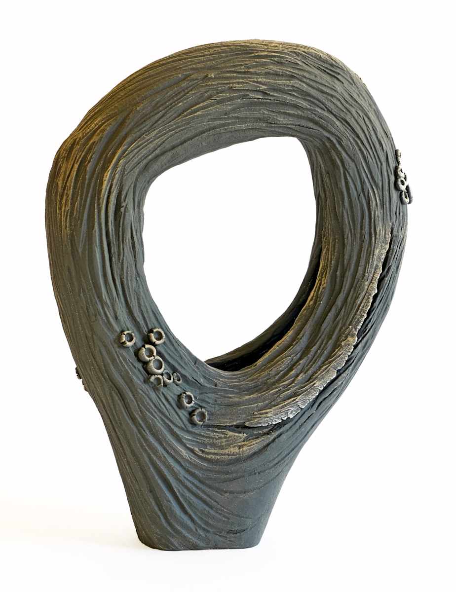 Veiled by Emil Yanos, Image 1.